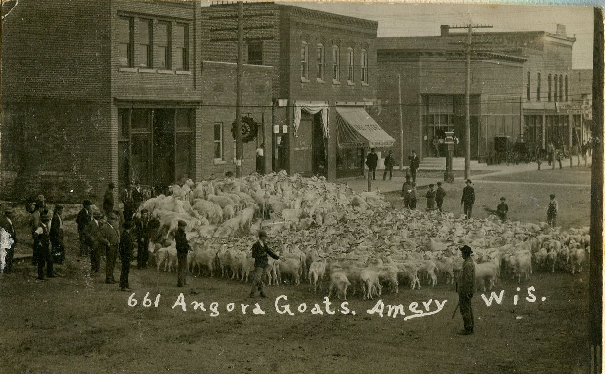 Amery - Goats on Main Street